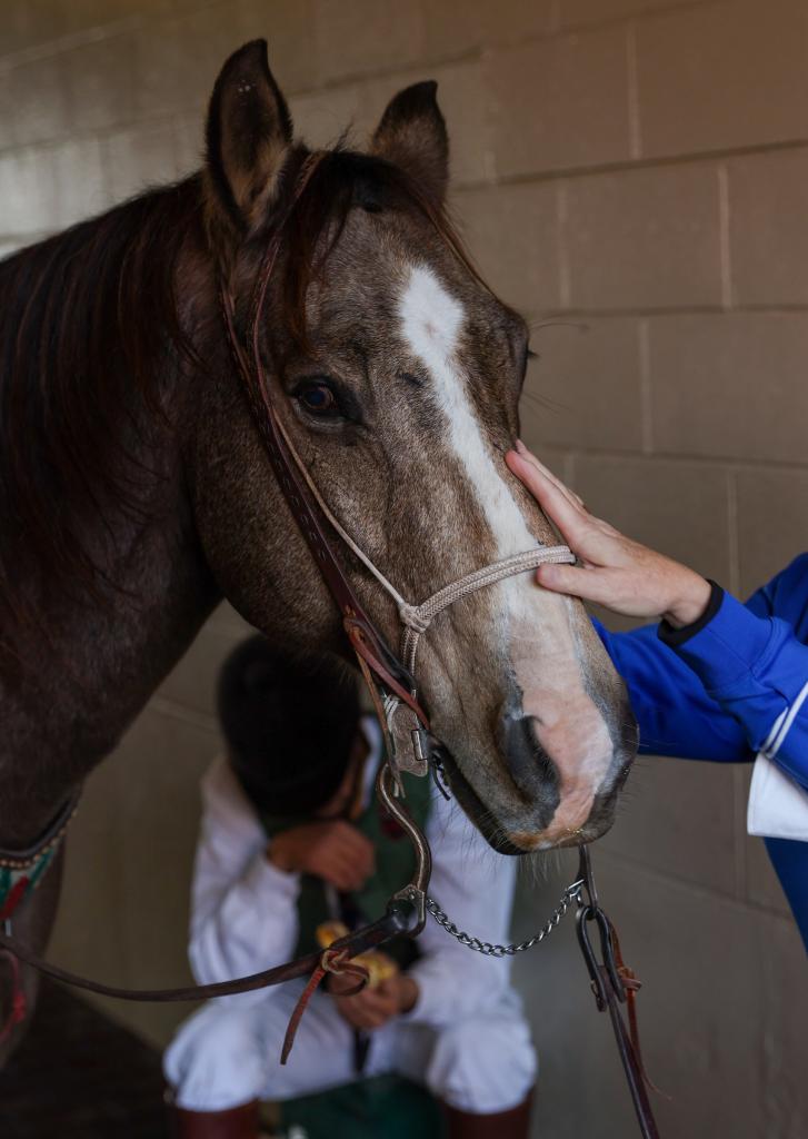 Explore Future Stars Friday at the 2022 Breeders’ Cup World Championships. (Eclipse Sportswire)